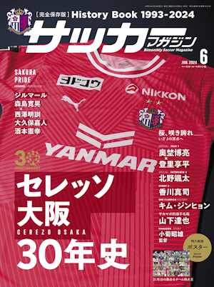 セレッソ大阪ユニホーム XXL 30周年記念　オマケ付き 2006_pc.webp